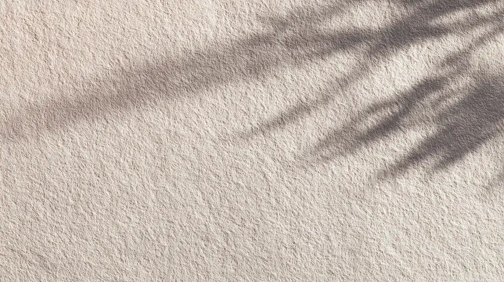 Sombra de una planta sobre una textura de un panel japonés blanco.